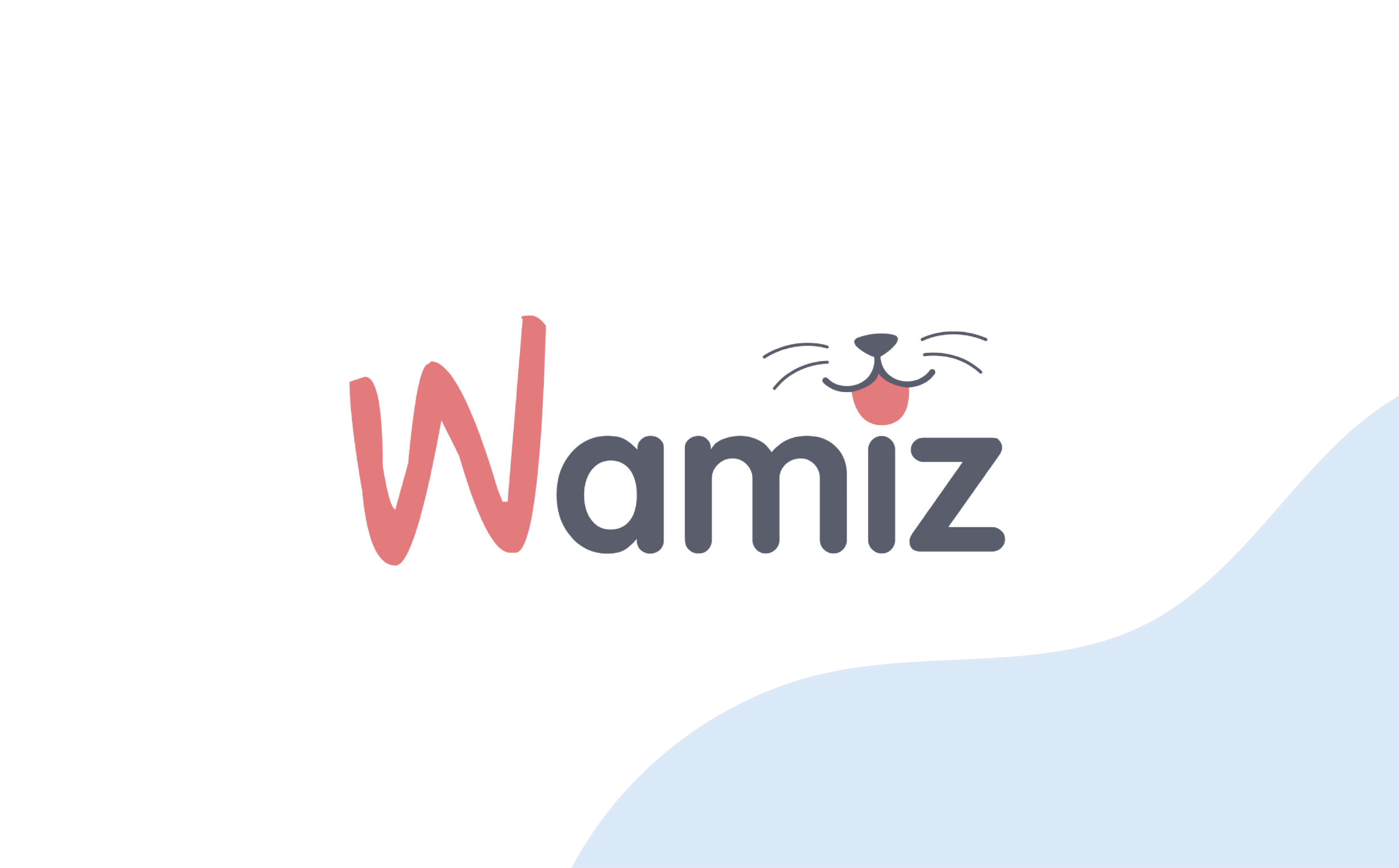 Wamiz success story